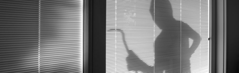 Thief behind the window