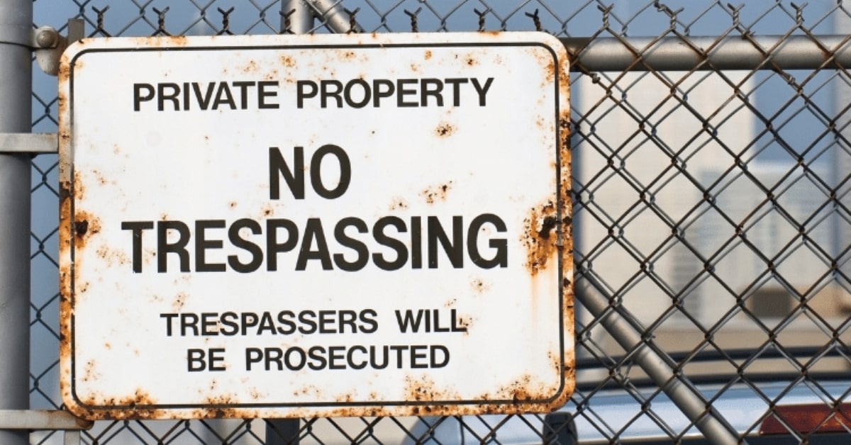 Blog - What Houston Property Owners Ought To Know About Poisonous