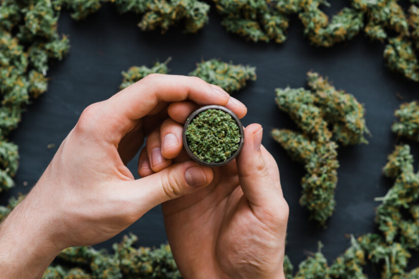Photo of Marijuana Fresh Buds